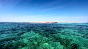 Cruising over the coral reef Cruising over the coral reef